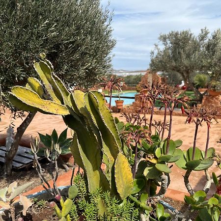 Olivares Rural Los Albaricoques ภายนอก รูปภาพ