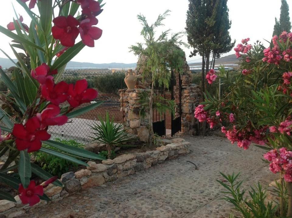 Olivares Rural Los Albaricoques ภายนอก รูปภาพ