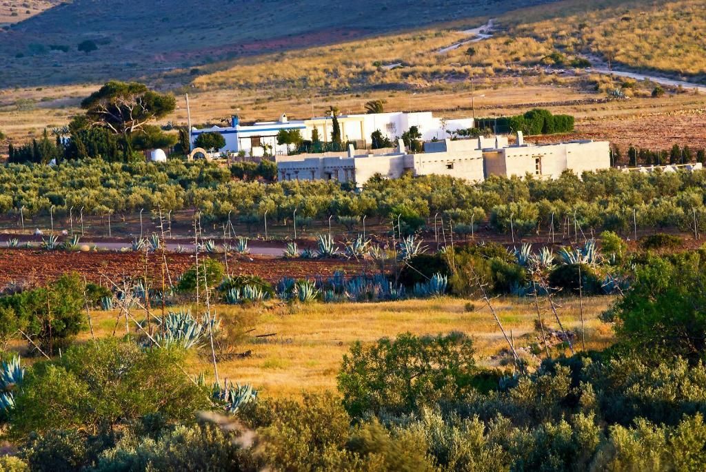 Olivares Rural Los Albaricoques ภายนอก รูปภาพ